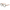Aimeric